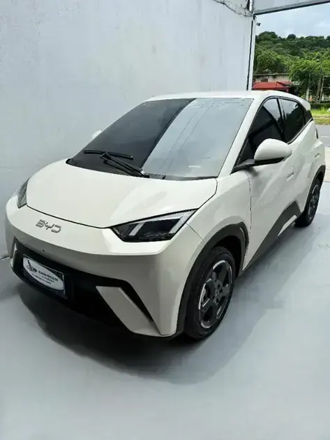 Carros elétricos assinatura Recife